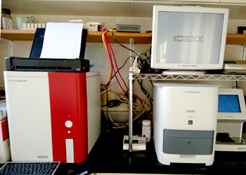 血液生化学検査機