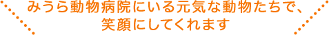 みうら動物病院にいる元気な動物たちで、笑顔にしてくれます